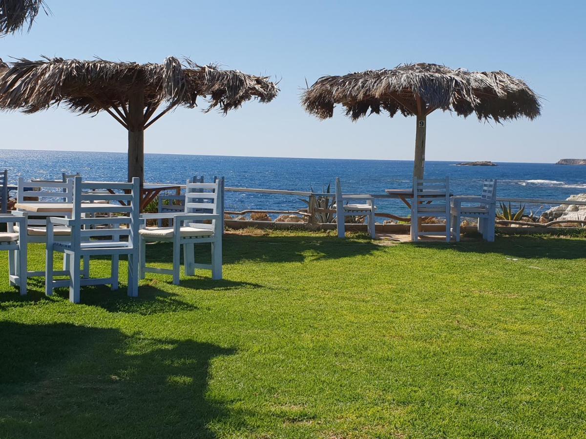 Beautiful studio Z104 in Vanessa Complex Peyia Esterno foto